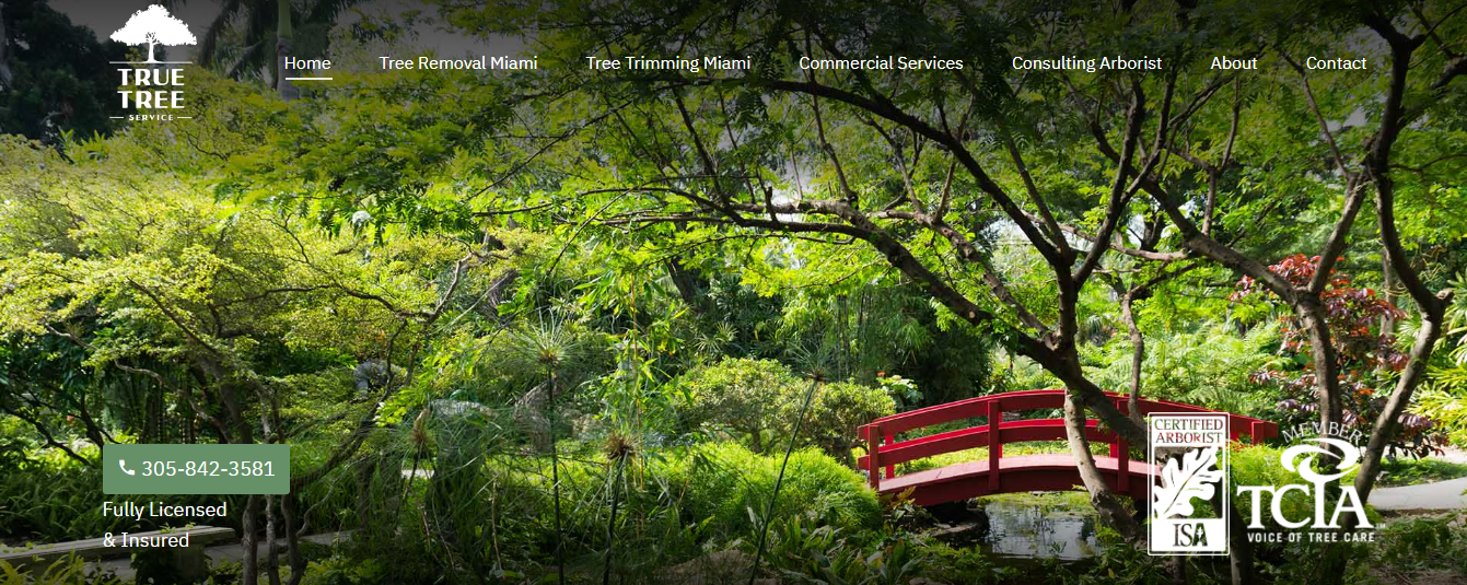 true tree services in miami