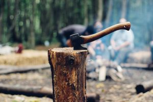 Best Tree Services in Miami