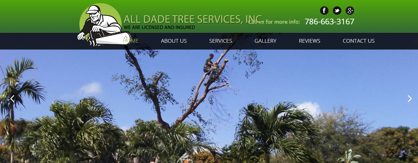 all dade tree services in miami