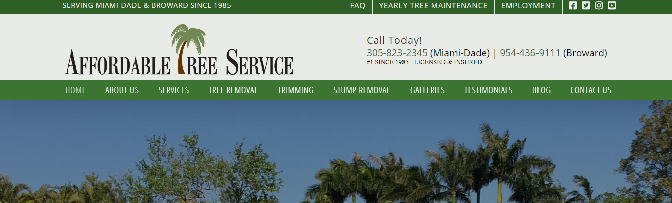 Affordable Tree Service in Miami