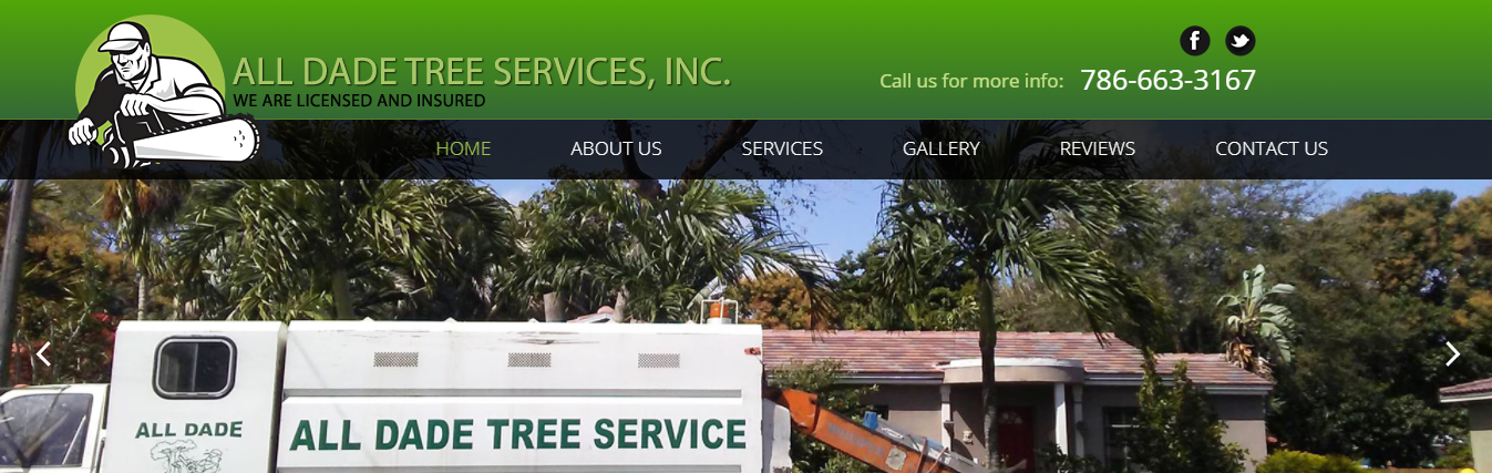 All Dade Tree Services in Miami