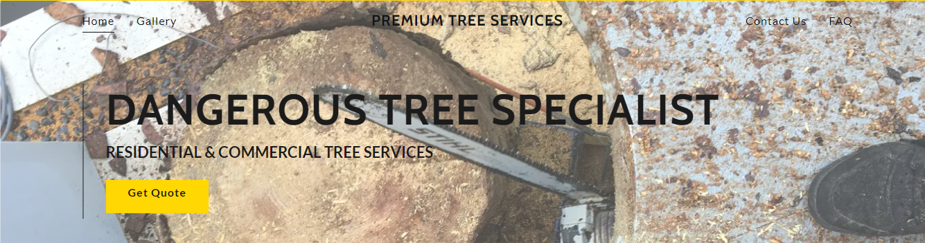 Premium Tree Services in Miami