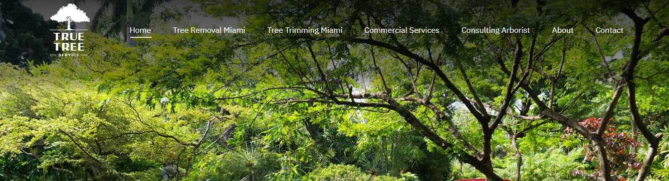 True Tree Services in Miami
