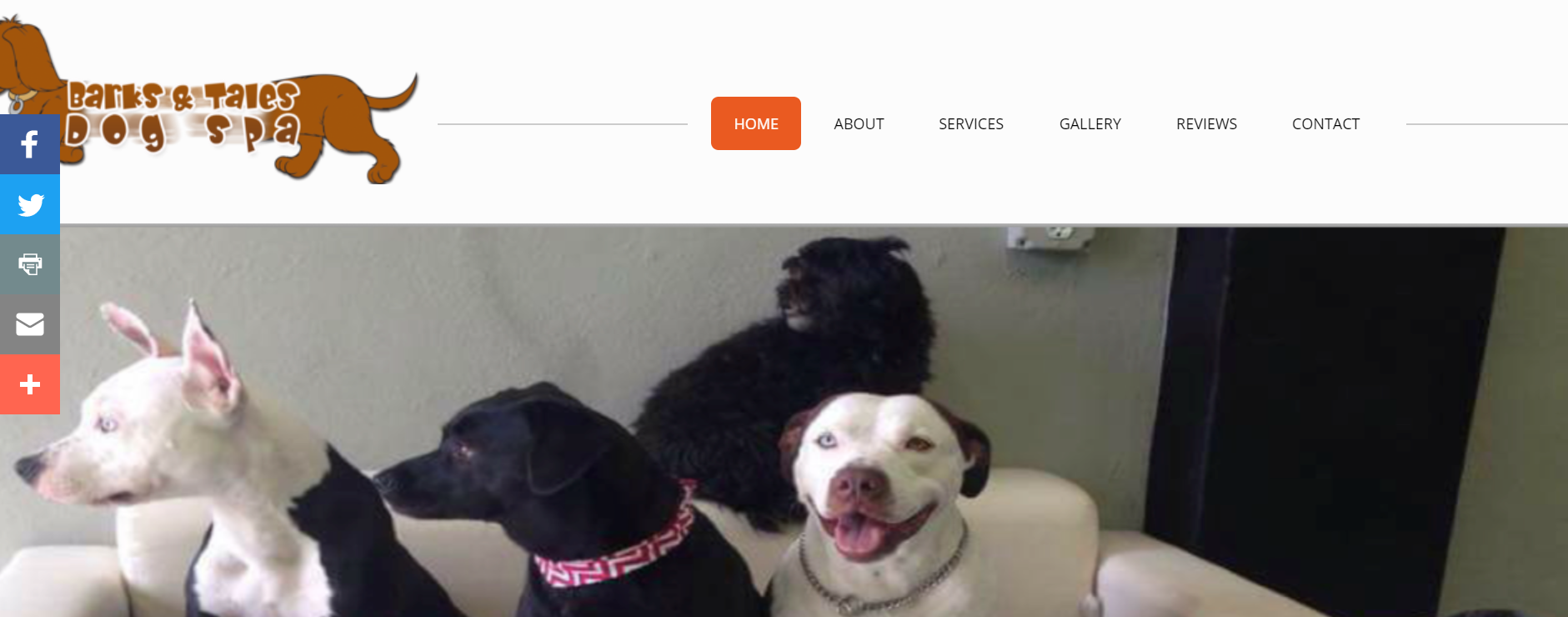 Barks and Tales Dog Spa Daycare in Miami
