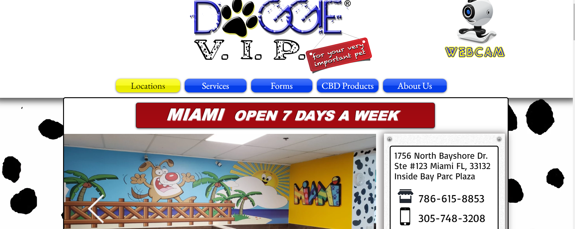 Doggie VIP Miami