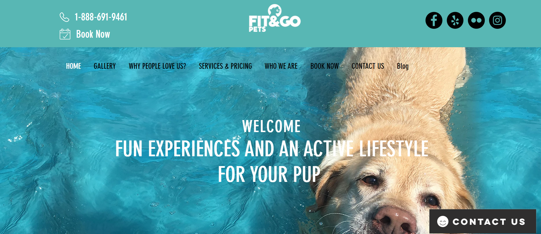Fit and Go Pets Daycare in Miami