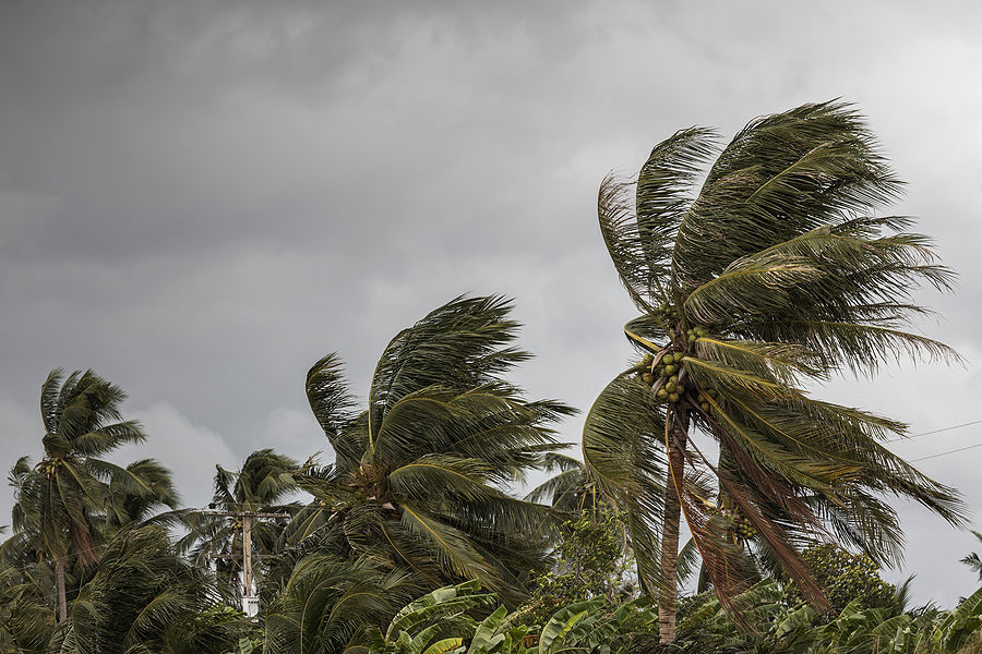 What is a Hurricane